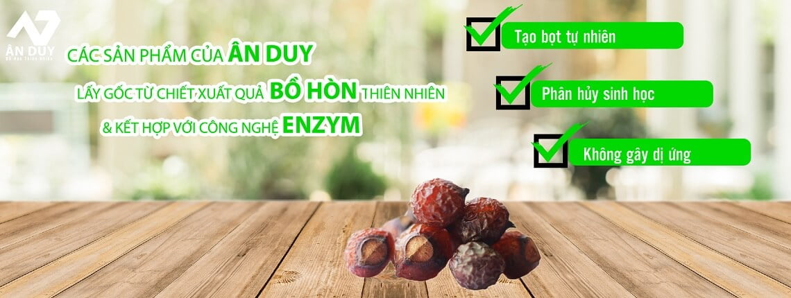 bồ hòn là nguyên liệu thường có ở các sản phẩm tẩy rửa hữu cơ