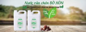 Quả Bồ Hòn Việt Nam được mẹ Tây săn lùng để giặt quần áo, gội dầu