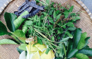 nguyên liệu làm sạch từ thiên nhiên