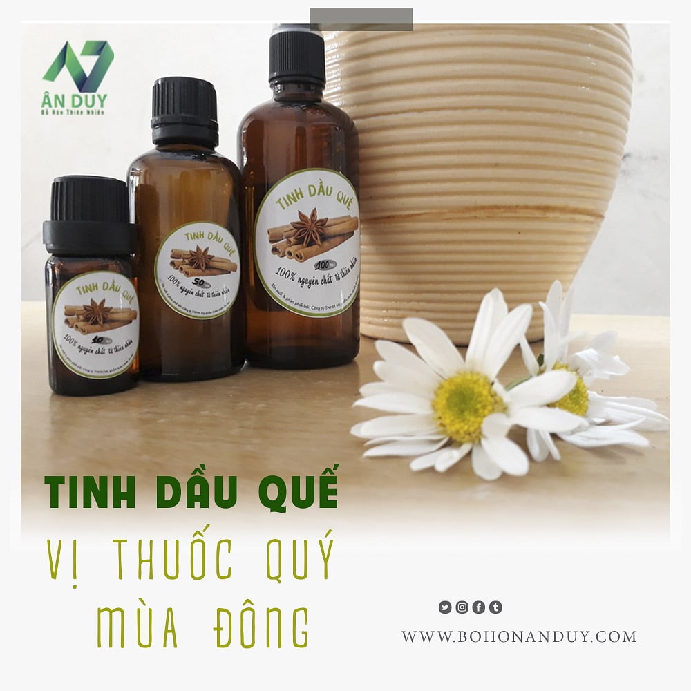 Tinh dầu quế - vị thuốc quý khi trời lạnh