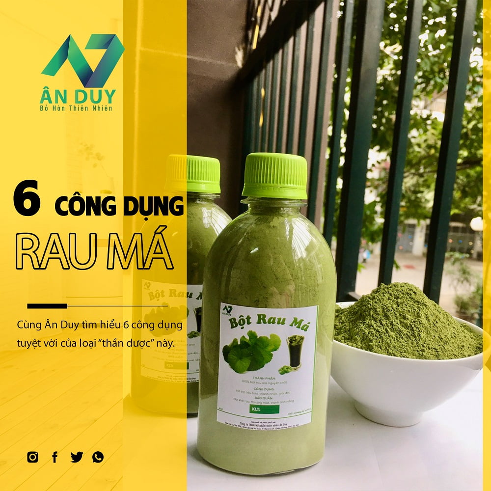 6 công dụng tuyệt vời của bột rau má