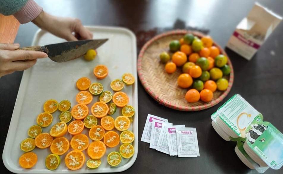 Hướng dẫn cách làm dung dịch tẩy rửa tự nhiên từ quả quất ngày Tết - Ảnh 3.